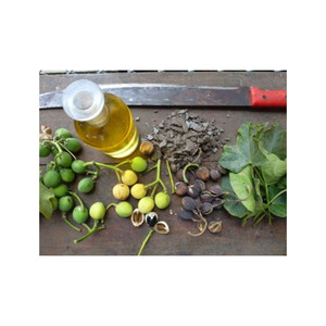 Aceite de Jatropha Premium, distribución al por mayor, precio con descuento por cantidad, suministro confiable - Product Image 2