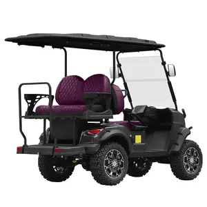 Street Legal Club Car Golf Buggy 2 Seat Mini Lithium Golf Cart High Speed Hunting Car