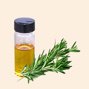 Livraison gratuite Rosemarry Extrait liquide Soluble dans l'huile | Approvisionnement en vrac | Qualité cosmétique - Product Image 1