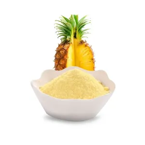 顶级优质纯天然菠萝水果提取物粉的领先出口商，用于冰淇淋糖果糖果