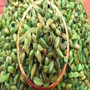 Cardamomo verde a la venta a precio de mayoreo, especias de primera calidad disponibles a granel - Product Image 3