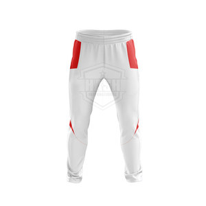 Top Quality Custom New Design Men's Blue Sports Sweatpants With Turquoise Side Stripes Elastic Waist Casual Wear Autumn Style - Product Image 3