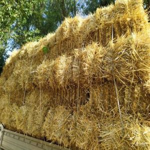 Alfalfa <b>Hay</b> for Horse Cattle Pig Feed-High Quality in <b>Bags</b> For Sale - Product Image 1