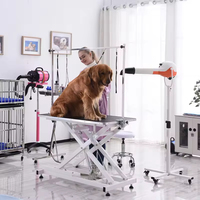 Table de toilettage électrique pour animaux de compagnie Table de coiffure pour chiens avec lumière LED Table de toilettage vétérinaire