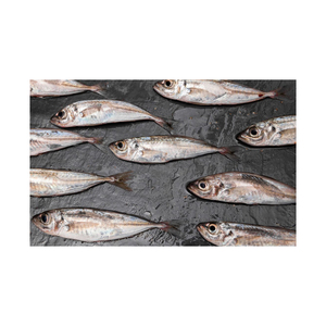 Suprimento em Grande Escala de Cavala Atlântica Premium, Qualidade para Exportação - Product Image 2