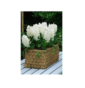 ตะกร้าหญ้าทะเลสานด้วยมือถือเหล็ก, ตะกร้าใส่กระถางต้นไม้สำหรับใส่ดอกไม้วัสดุทำจากหญ้าทะเล - Product Image 1