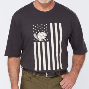 100% algodón transpirable sólido de gran tamaño Unisex manga corta Camiseta con diseño personalizado Logo Drop y características ecológicas - Product Image 5