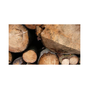 Bois de chauffage en acajou prêt à l'exportation fourni en vrac pour les marchés du chauffage durable - Product Image 4