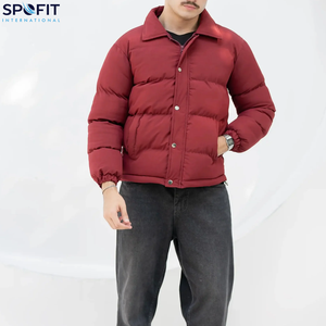 Chaquetas Acolchadas Unisex para Hombre 2025, Material de Poliéster de Alta Calidad, con Capucha, Estilo Urbano, Venta al por Mayor - Product Image 3