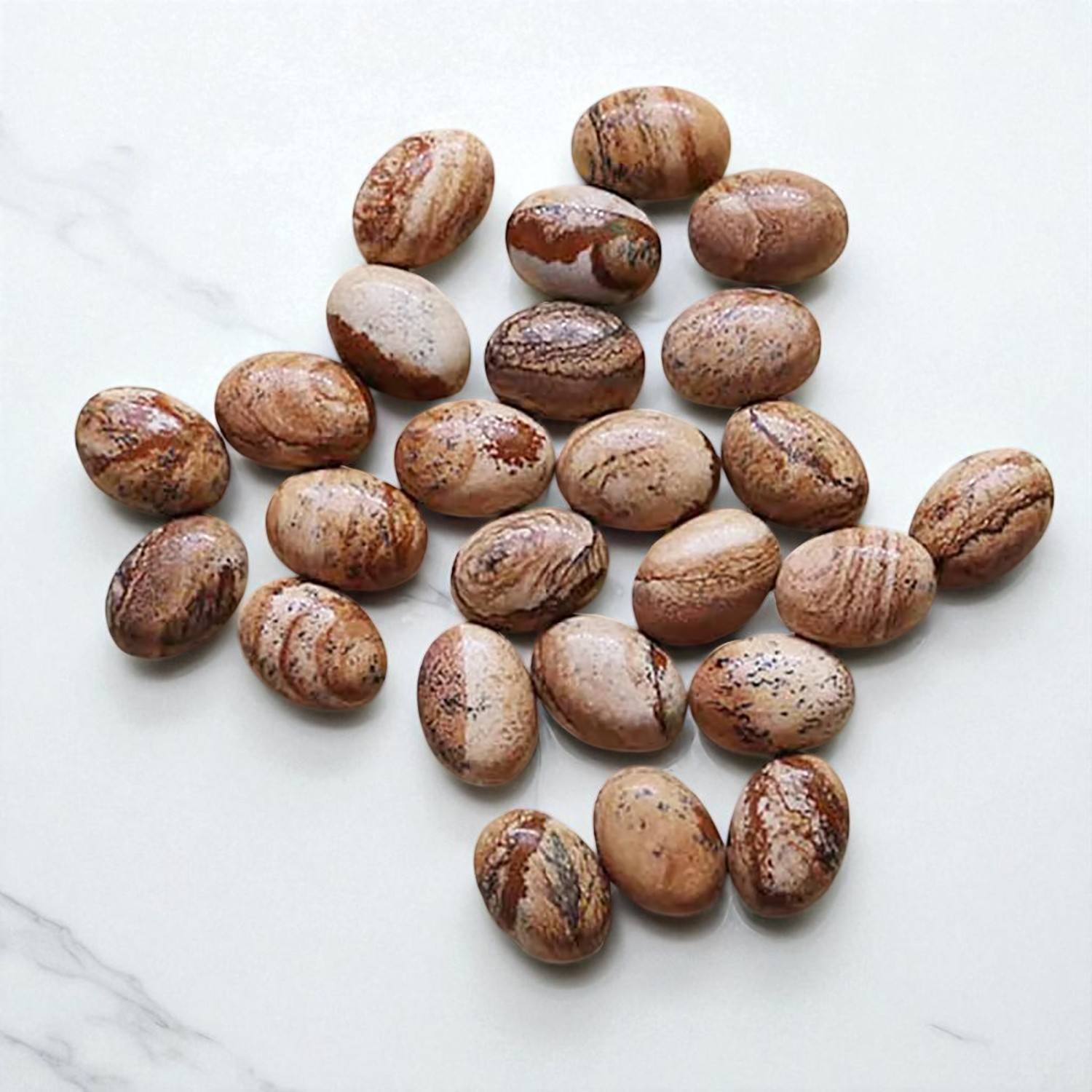 รูปภาพแจสเปอร์