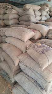 Maíz Amarillo Seco Natural Sin OMG de la Mejor Calidad, Suministro de Fábrica, para Alimento de Aves, Alimento Congelado para Animales, Venta a Precio Económico para Exportación - Product Image 6