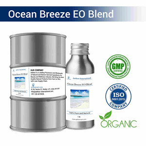 Huile parfumée naturelle Ocean Breeze EO Blend, senteur noix de coco fraîche, pour spa et parfumerie - Product Image 2