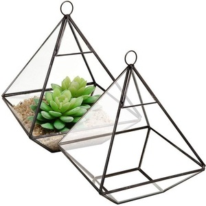Accessoires de décoration de café ou de café de qualité supérieure Vente chaude Terrarium en verre de forme irrégulière Terrarium en verre transparent - Product Image 6