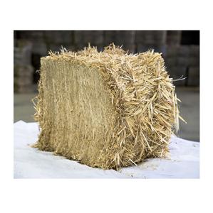 Balles rondes italiennes hachées de la plus haute qualité paille de bétail volaille animale alimentation blé alimentation production d'aliments pour animaux - Product Image 6