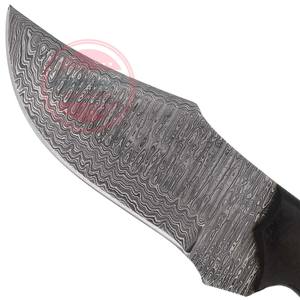 Cuchillo de caza de acero de Damasco Tang completo, cuchillo de caza con Funda de cuero - Product Image 2