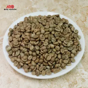 Vietnam coffee factory Raw materials Green coffee beans Robusta S16 S18 in Buon Ma Thuot Processing honey Ready to Export
