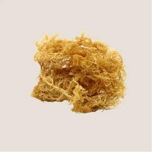 BEST SERVICE <b>DRIED</b> SEA <b>MOSS</b> PREMIUM GRADE BULK SUPPLY - Product Image 1