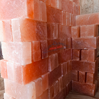 Briques de sel de l'Himalaya 100% pur, qualité supérieure, certifiées ISO, pour la construction, sculptées, personnalisables, pour murs de spa et sauna, toucher réel