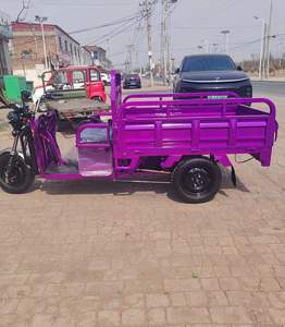 Scooter Eléctrico Solar de 3 Ruedas, de Alta Gama, con Motor de 48V 600W, Cuadro de Acero de Alto Carbono, Frenos de Tambor, Ruedas 300-8, para Adultos - Product Image 1