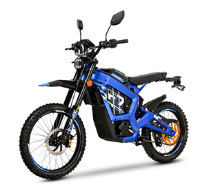 FOR SALE_Champ CP3000DGY-5A Off-Road Electric Dirt Bike 3000W 84V38.5AH Lithium Battery 135km Range 100KM/h EEC COC - Product Image 1