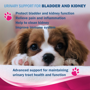OEM naturale salute della vescica del cane integratore di supporto per l'infezione del tratto urinario compresse - Product Image 6