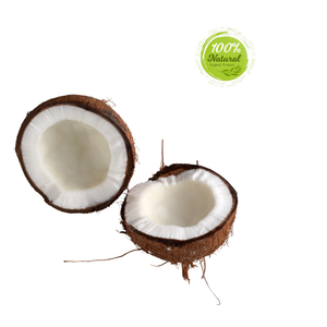 Symbole d'histoire agricole résiliente en coquille de noix de coco séchée de style frais - Product Image 2