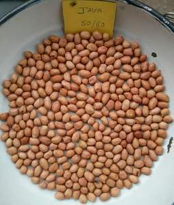 Cacahuetes blanco crudo indio Gujarat 25/50kg PP bolsa de extracción de aceite para consumo humano y animal - Product Image 1