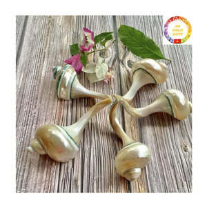 ที่ใส่ตะเกียบทรงเปลือกหอยมุกสุดหรูช้อนเปลือกหอยทำด้วยมืออุปกรณ์เสริมสำหรับโต๊ะอาหารเป็นมิตรต่อสิ่งแวดล้อม - Product Image 3