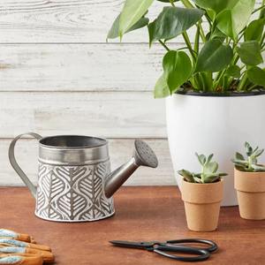Vase décoratif en métal galvanisé, arrosoir Vintage pour plantes d'intérieur, Vase de décoration de fleurs, décoration de la maison - Product Image 3