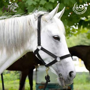 Horse Halter Nylon Padded Chin Throat <b>Snap</b> <b>Hook</b> Heavy Duty High Waist Waterproof Lightweight Breathable Features ODM Supply Logo - Product Image 4