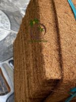Les tapis en fibre de noix de coco sont utilisés pour la culture de légumes micro-verts