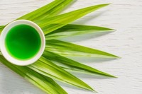 Meilleur Prix Pandanus frais naturel congelé laisser dans l'emballage sous vide