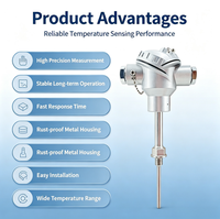 Capteur de température PT100 -200-600 ℃   Transmetteur de température à sonde RTD en acier inoxydable, mesure de la température par résistance thermique