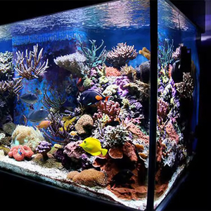 Aquarium acrylique transparent personnalisé en usine directe Aquarium élégant et durable en plastique fibre de verre verre - Product Image 2
