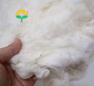 Wholesale 100% Pure <b>Kapok</b> Bales Fiber Bleached Eco-Friendly Easy Use US Origin European Exporter's Raw Material for <b>Filling</b> - Product Image 2