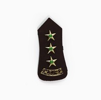 Logotipo personalizado diseño liso hombro charreteras bordado parche uniforme accesorios charreteras hombro tablero tejido Charretera
