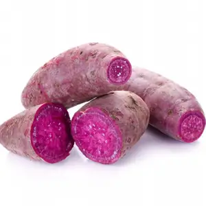 Hot Sale sweet PURPLE YAM - Wholesale organic purple yam at a low cost worldwide