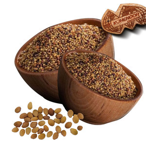 Trébol Berseem | Contribuye a una mezcla saludable de raciones - Product Image 1