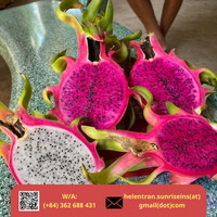 Nieuwe oogst 2024 Verse Dragon Fruit Wit Roze Vlees Graad A Sunrise Merk 9kg Netto met Competitieve Prijs