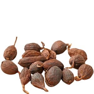 COSSES DE CARDAMOME ENTIÈRES SÉCHÉES POUR D'AUTHENTIQUES ÉPICES INDIENNES - Product Image 1