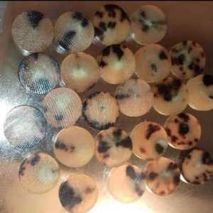 กระดุมเขาควายคุณภาพสูงของอินเดียตัวยึดมีสไตล์งานทำมือ9-10ชิ้นมีจำหน่ายในคำสั่งซื้อจำนวนมากที่กำหนดขนาดเองได้ - Product Image 1