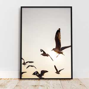 Impresión artística de gaviotas, tamaño DIN A3, diseño único para decoración del hogar - Product Image 4
