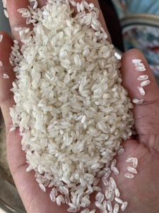 [ตัวอย่างฟรี] calrose Medium White sushe/japonica ข้าวเนื้อแข็งลายกลมข้าวแห้ง Riz arroz riso RISE/sushi/Anna DO - Product Image 5
