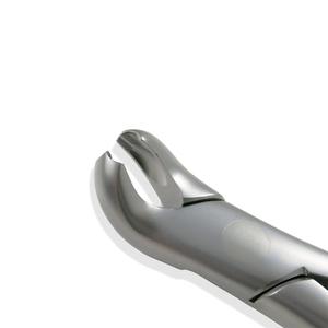 Pinzas de Alta Calidad para Extracción de Raíces # Instrumentos Médicos Quirúrgicos Dentales para Extracción de Dientes Molares Inferiores Universales 17 - Product Image 3