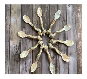 Cuillère à coquille naturelle de qualité supérieure pour les paramètres de table de salle à manger élégants et les fournitures exclusives d'ustensiles de cuisine - Product Image 3