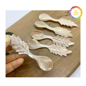 Venta al por mayor de cucharas de nácar: artesanía de conchas y caracolas de lujo, alta calidad, reutilizable y ecológica, gran oferta 2025 - Product Image 2