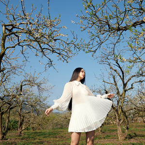 Alida Jupe plissée Bon Prix Durable Pour Bureau Dame Luxe Design Mode Marque Emballage Personnalisé Vietnam Fabricant - Product Image 3