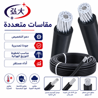 Cable Aéreo Aislado con Conductor de Aluminio JKLYJ 0.6/1kV, Cable ABC para Distribución de Energía Aérea, Cable de Alimentación con Aislamiento de PVC