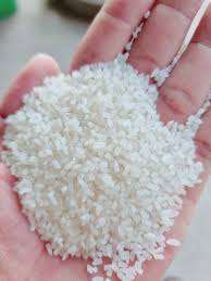 Riz cassé 100% naturel, 14% d'humidité max, naturellement doux et moelleux, non collant, en vrac, pour la cuisine quotidienne, riz cuit à la vapeur, bouillie, durée de conservation de 2 ans - Product Image 4