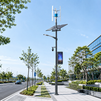 Lampadaire solaire LED IP65 de haute qualité et à faible coût pour systèmes solaires éolien-extérieurs